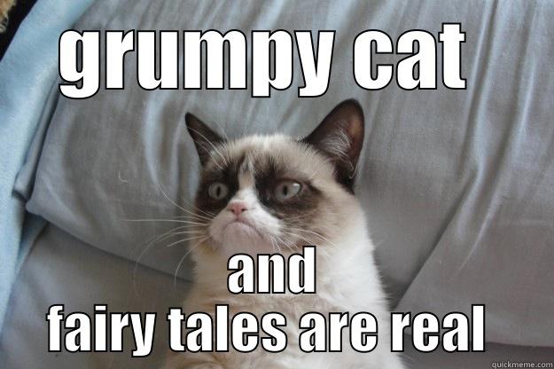 GRUMPY CAT  AND FAIRY TALES ARE REAL  Grumpy Cat