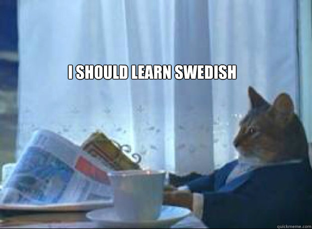 I should learn Swedish  - I should learn Swedish   I should buy a boat cat