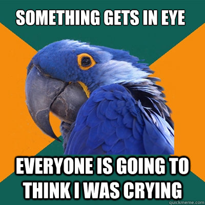 Something gets in eye everyone is going to think i was crying - Something gets in eye everyone is going to think i was crying  Paranoid Parrot