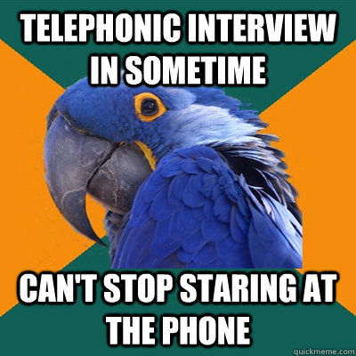 TELEPHONIC INTERVIEW IN SOMETIME CAN'T STOP STARING AT THE PHONE  Paranoid Parrot
