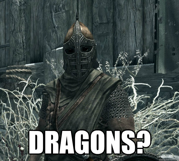  DRAGONS? -  DRAGONS?  Skyrim Guard