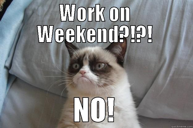 WORK ON WEEKEND?!?! NO! Grumpy Cat