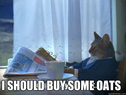  I SHOULD BUY SOME OATS  Rich cat is rich
