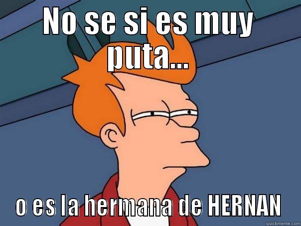 NO SE SI ES MUY PUTA... O ES LA HERMANA DE HERNAN Futurama Fry