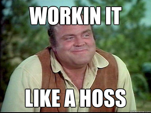Workin it Like a Hoss  Like a Hoss