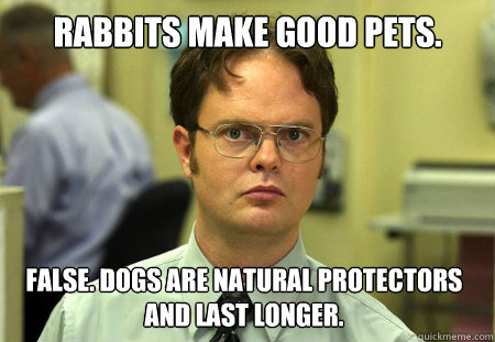 Rabbits make good pets. False. Dogs are natural protectors and last longer.   Dwight