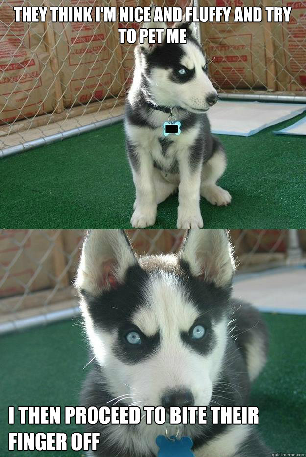 They think I'm nice and fluffy and try to pet me I then proceed to bite their finger off  Insanity puppy