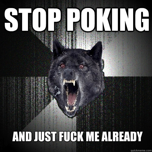 Stop Poking And just fuck me already - Stop Poking And just fuck me already  Insanity Wolf