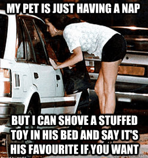 MY PET IS JUST HAVING A NAP BUT I CAN SHOVE A STUFFED TOY IN HIS BED AND SAY IT'S HIS FAVOURITE IF YOU WANT  Karma Whore