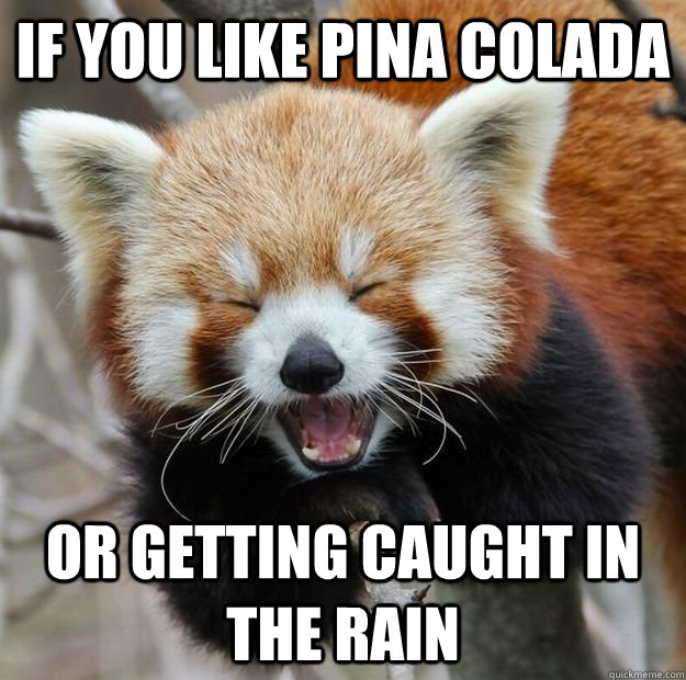 If you like Pina Colada or getting caught in the rain - If you like Pina Colada or getting caught in the rain  Red panda