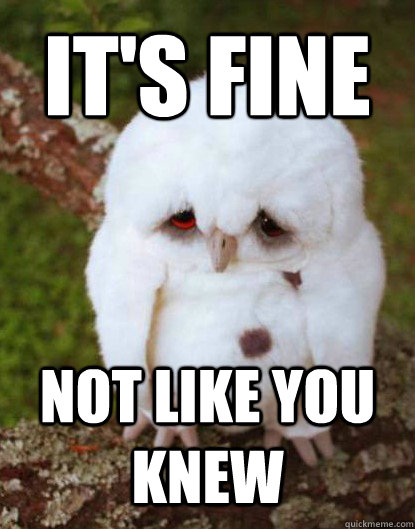 it's fine not like you knew  Depressed Owl