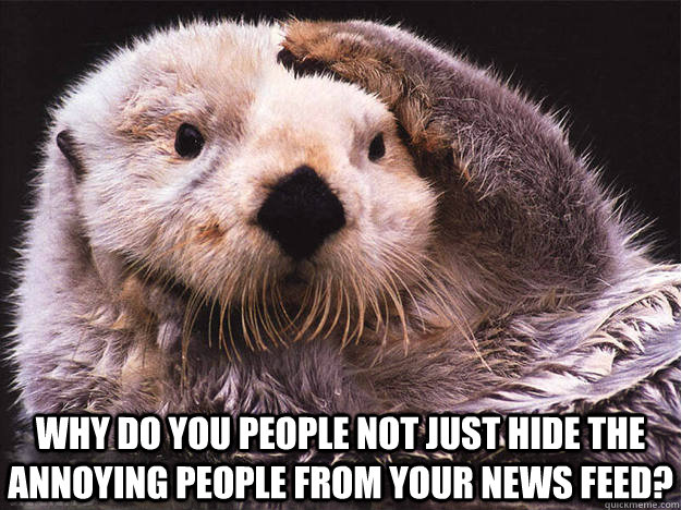 why do you people not just hide the annoying people from your news feed?  Confused Otter