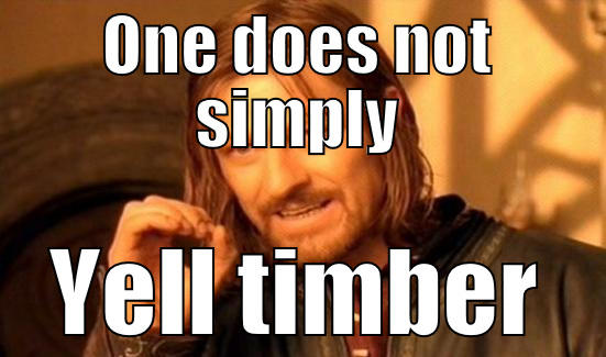 ONE DOES NOT SIMPLY YELL TIMBER Boromir