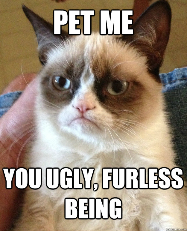 pet me you ugly, furless being  Grumpy Cat