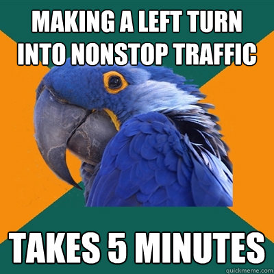 making a left turn into nonstop traffic Takes 5 minutes  Paranoid Parrot