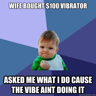 Wife bought $100 vibrator asked me what I do cause the vibe aint doing it  Success Kid