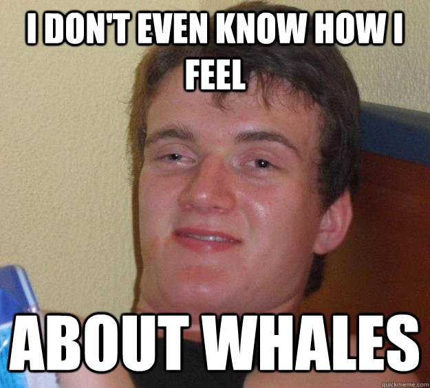 I don't even know how I feel about whales - I don't even know how I feel about whales  10 Guy