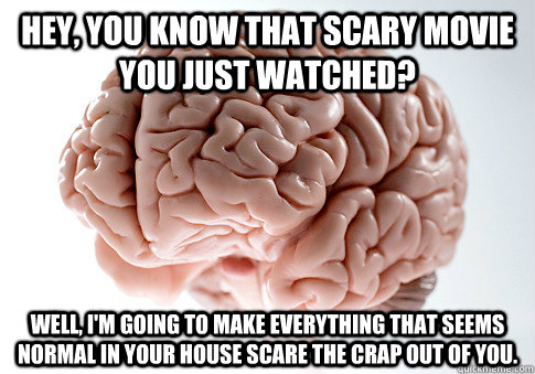 Hey, you know that scary movie you just watched? well, i'm going to make everything that seems normal in your house scare the crap out of you.  Scumbag Brain