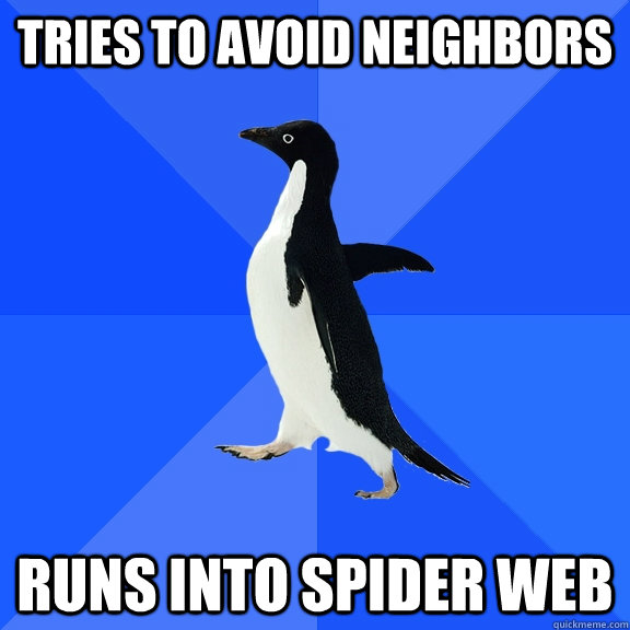 tries to avoid neighbors runs into spider web  Socially Awkward Penguin