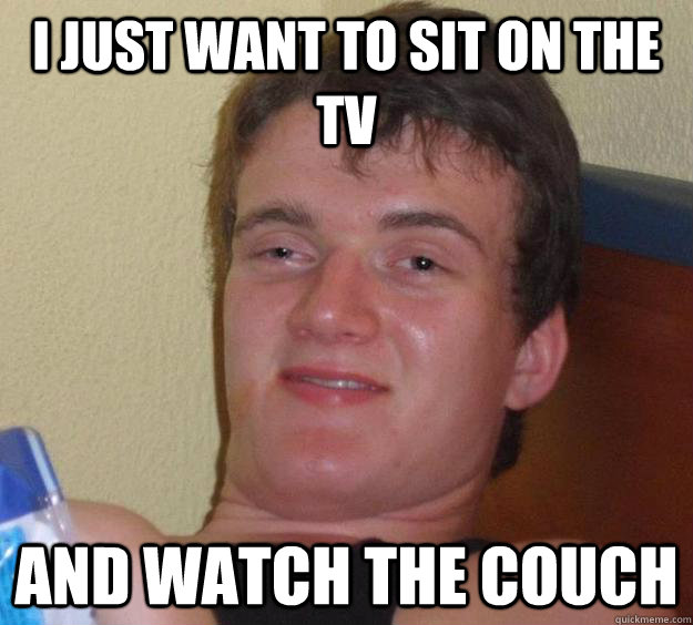 I JUST WANT TO SIT ON THE TV AND WATCH THE COUCH   10 Guy