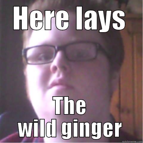 HERE LAYS THE WILD GINGER Misc