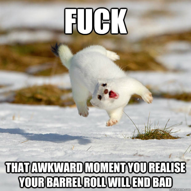 FUCK that awkward moment you realise your barrel roll will end bad  happy ferret