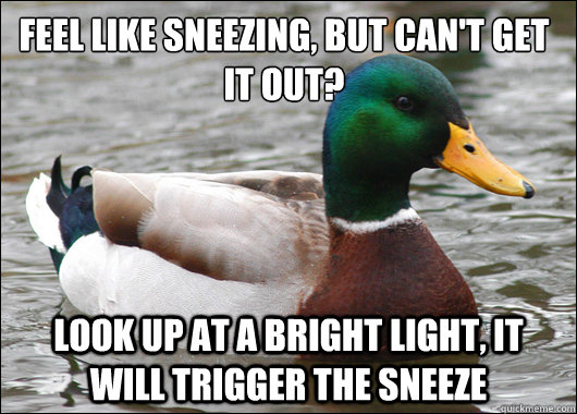 Feel like sneezing, but can't get it out? Look up at a bright light, it will trigger the sneeze  Actual Advice Mallard