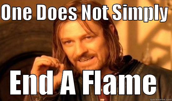 ONE DOES NOT SIMPLY  END A FLAME Boromir