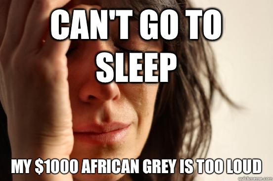 Can't go to sleep My $1000 African grey is too loud  First World Problems