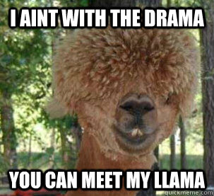 I aint with the drama  You can meet my llama  Chief Keef