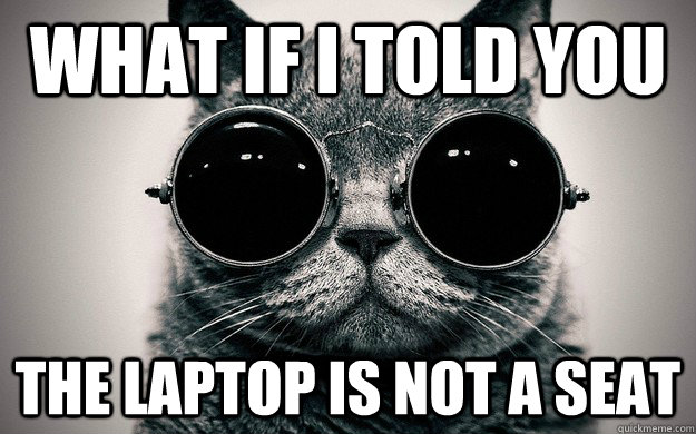 What if I told you The laptop is not a seat  Morpheus Cat Facts