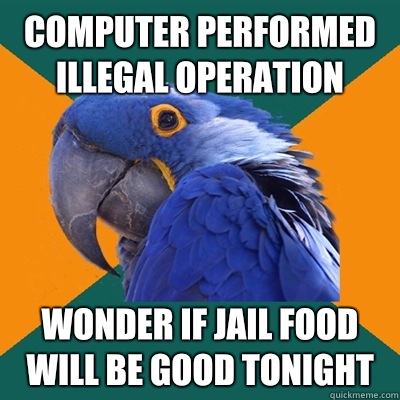 Computer performed illegal operation Wonder if jail food will be good tonight  Paranoid Parrot