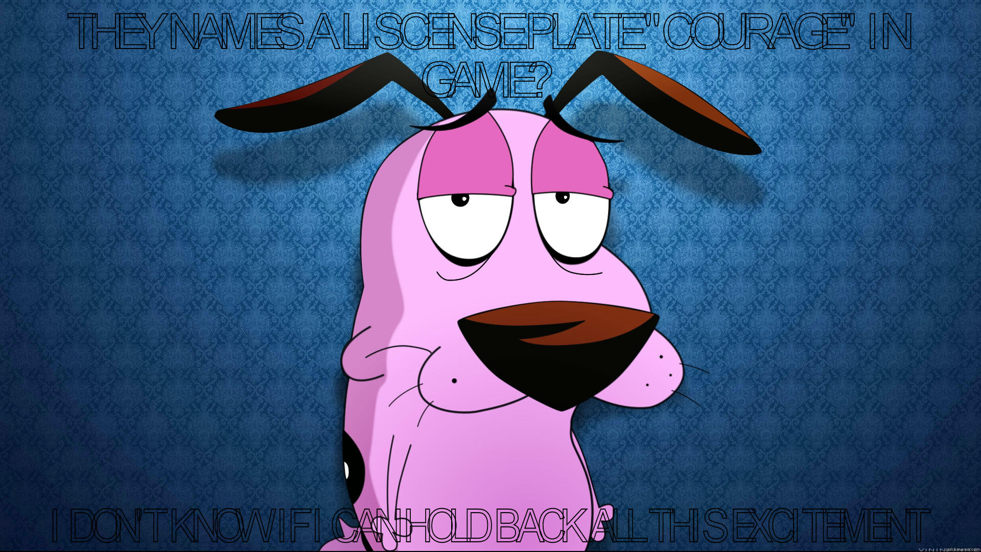 THEY NAMES A LISCENSE PLATE 