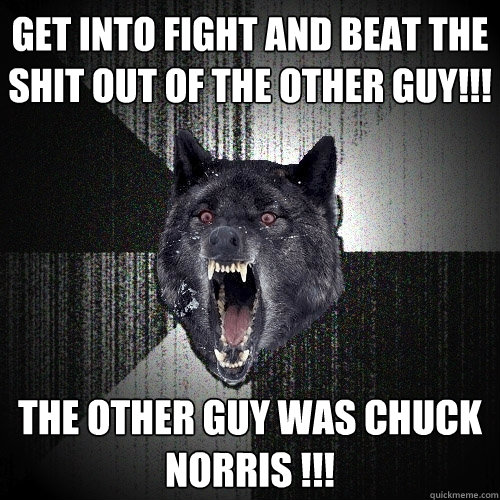 GET INTO FIGHT AND BEAT THE SHIT OUT OF THE OTHER GUY!!! THE OTHER GUY WAS CHUCK NORRIS !!!  Insanity Wolf