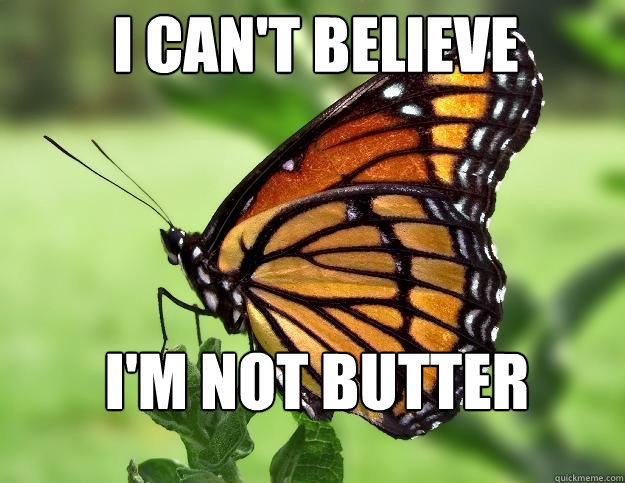 I can't believe I'm not butter - I can't believe I'm not butter  Confused Butterfly