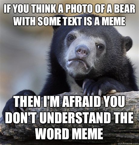 IF YOU THINK A PHOTO OF A BEAR WITH SOME TEXT IS A MEME THEN I'M AFRAID YOU DON'T UNDERSTAND THE WORD MEME  Confession Bear