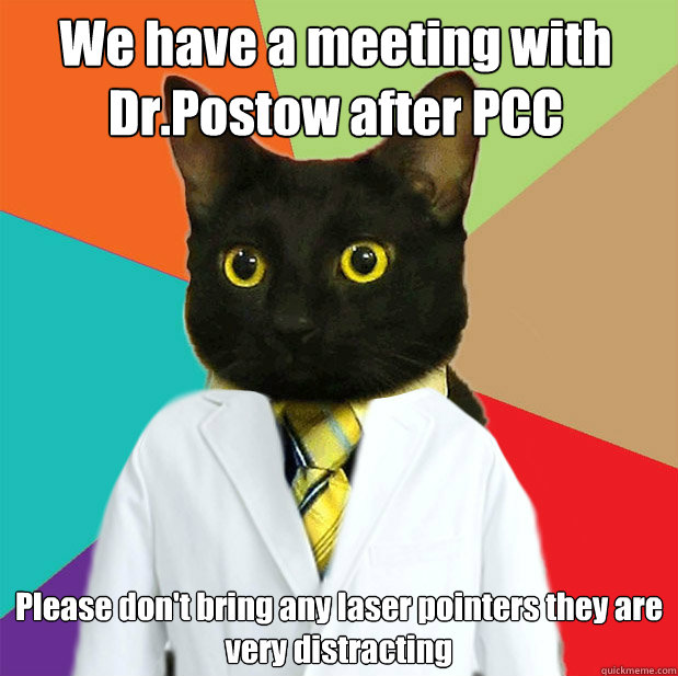 We have a meeting with Dr.Postow after PCC Please don't bring any laser pointers they are very distracting - We have a meeting with Dr.Postow after PCC Please don't bring any laser pointers they are very distracting  Doctor Cat