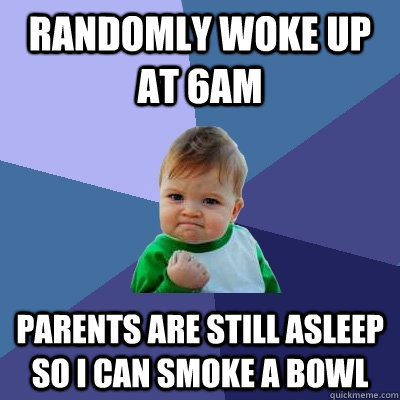 Randomly woke up at 6am parents are still asleep so i can smoke a bowl  Success Kid