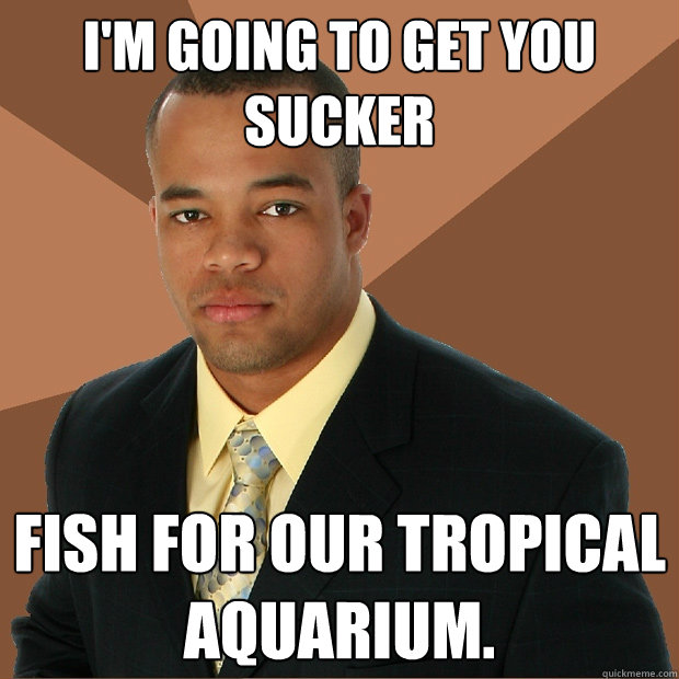 I'm going to get you sucker fish for our tropical aquarium.  Successful Black Man