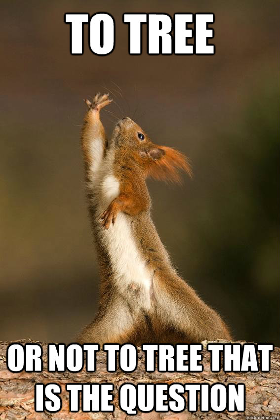 To tree  or not to tree that is the question  Shakespeare Squirrel