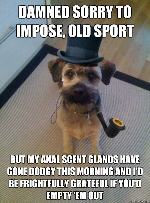 damned sorry to impose, old sport but my anal scent glands have gone dodgy this morning and I'd be frightfully grateful if you'd empty 'em out  Gentleman Dog