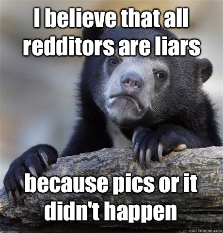 I believe that all redditors are liars because pics or it didn't happen  Confession Bear