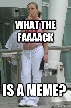 what the faaaack is a meme? - what the faaaack is a meme?  Chav Mum
