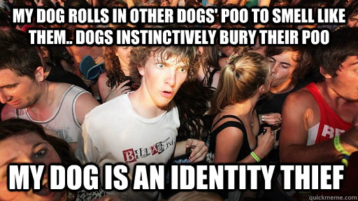 My dog rolls in other dogs' poo to smell like them.. dogs instinctively bury their poo my dog is an identity thief  Sudden Clarity Clarence