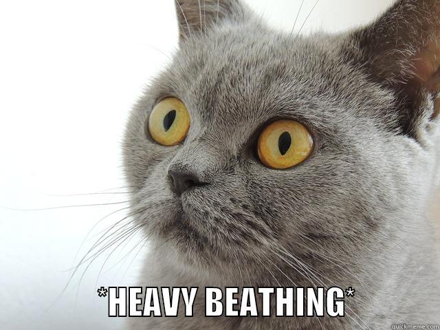 gray cat heavy breathing -                  *HEAVY BEATHING*             Misc