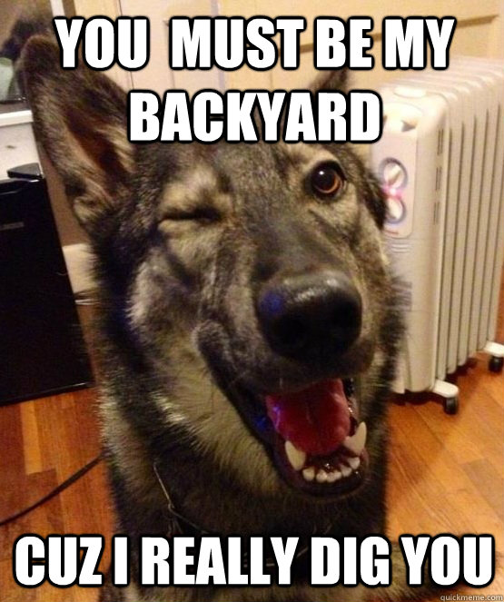 You  must be my backyard cuz I really dig you  Pickup Pup