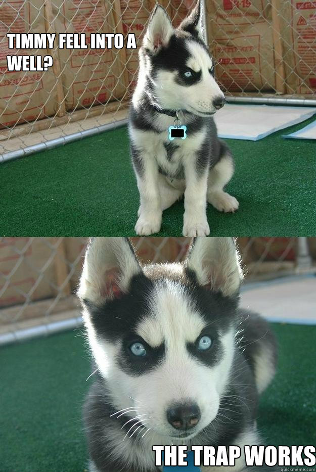 timmy fell into a well? The trap works  Insanity puppy
