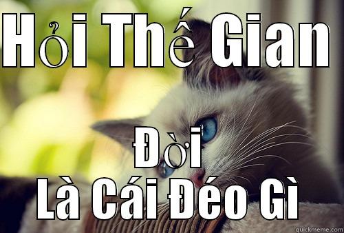 HỎI THẾ GIAN  ĐỜI LÀ CÁI ĐÉO GÌ First World Problems Cat