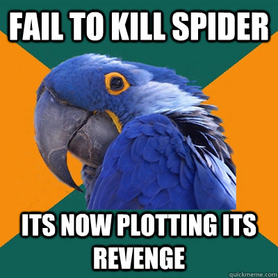 Fail to kill spider its now plotting its revenge  Paranoid Parrot