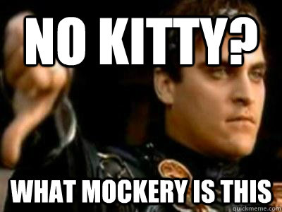 No kitty? what mockery is this  Downvoting Roman